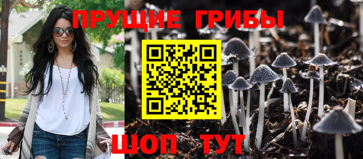 Псилоцибиновые грибы GOLDEN TEACHER Лянтор