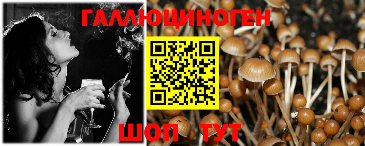 хочу   Лянтор  Псилоцибиновые грибы ЛСД 